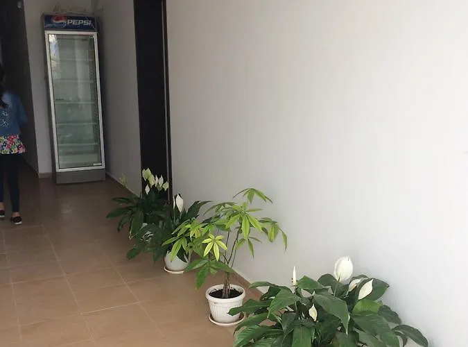 招待所 Kolev 2 3*