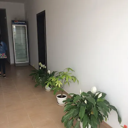 Pensionat Kolev 2 2*